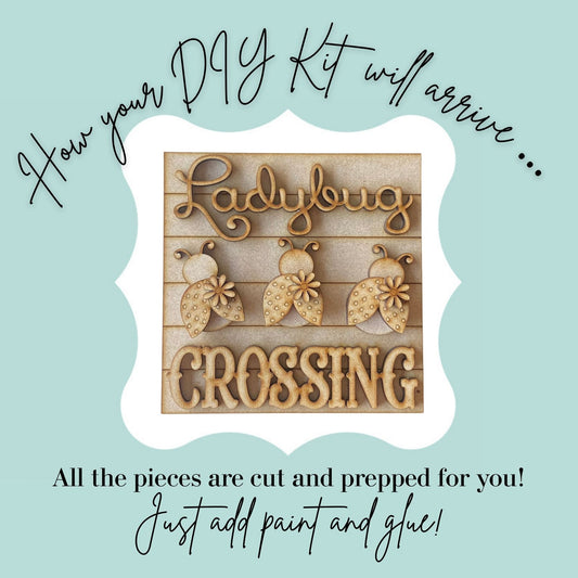 Ladybug Crossing DIY Mini Kit